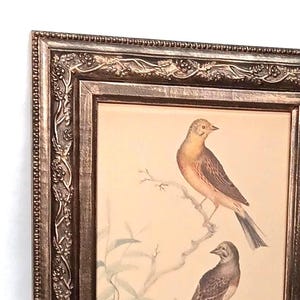 May include: A framed print featuring two birds perched on a branch. The birds have brown and yellow plumage. The frame is ornate with a bronze finish and decorative floral elements.