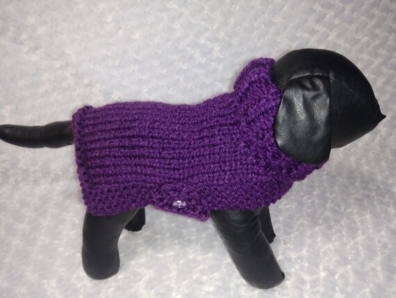 purple dog jacket