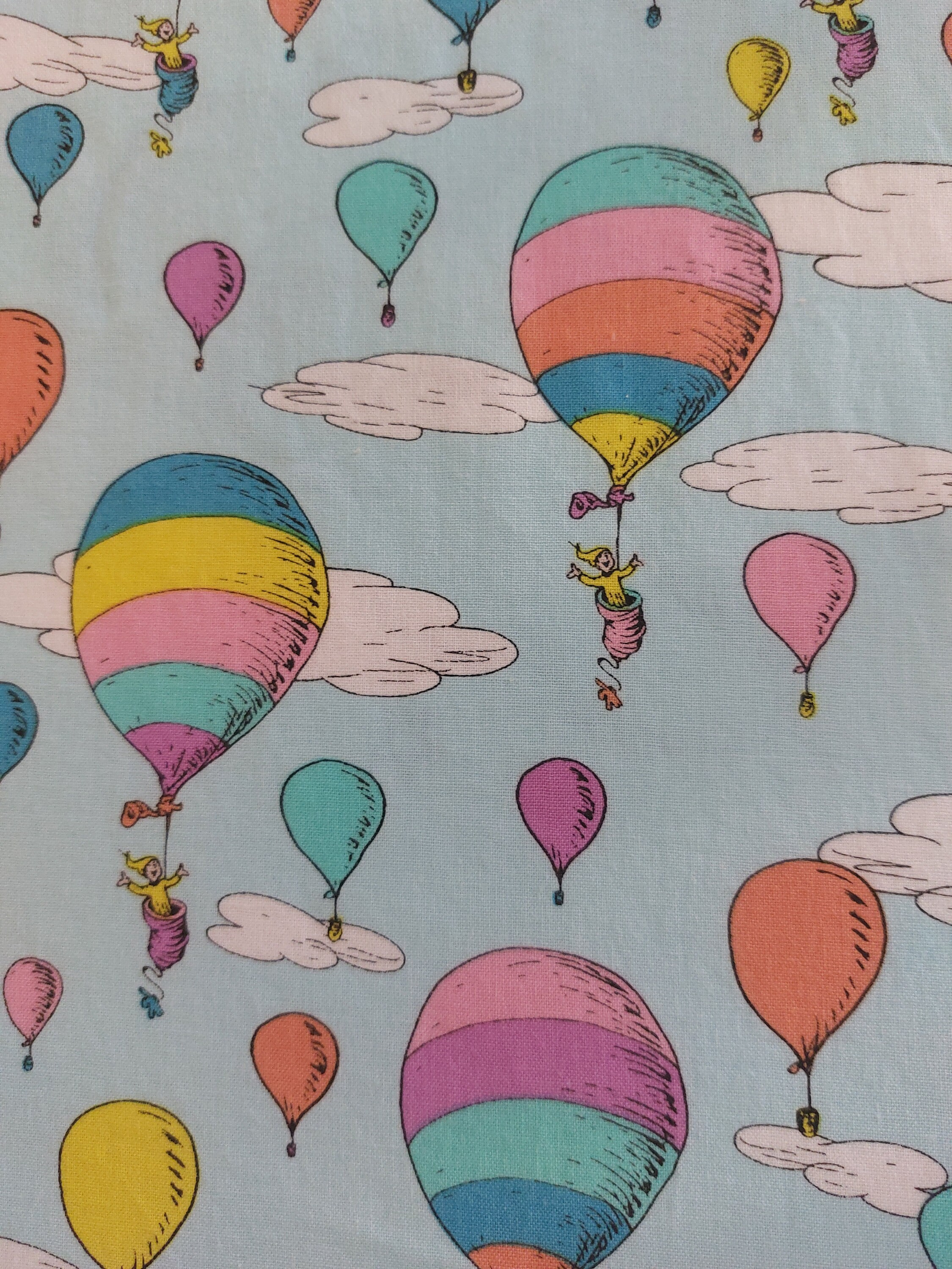 Dr. Seuss Hot Air Balloon Toddler Pillowcase: Nursery Linen (17