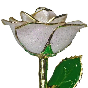 Pearl White Sparkle Rose - Original 24k Gold Dipped Rose - Real Rose Plated in Gold by Living Gold