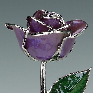 Purple Platinum Rose by Living Gold - Real Rose Dipped & Plated in Platinum