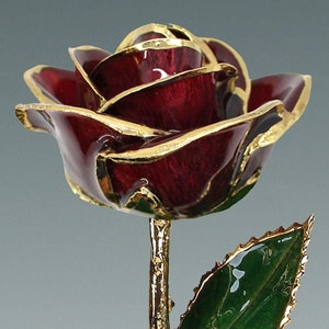 Burgundy Rose - Original 24k Gold Dipped Rose - Real Rose Plated in Gold by Living Gold
