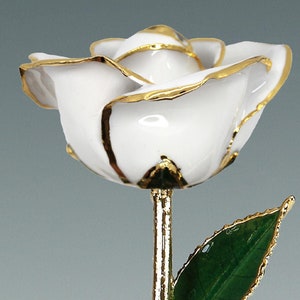 Snow White Rose - Original 24k Gold Dipped Rose - Real Rose Plated in Gold by Living Gold