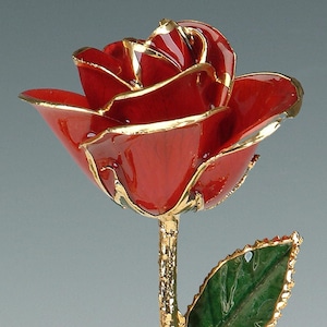 Red Rose - Original 24k Gold Dipped Rose - Real Rose Plated in Gold by Living Gold