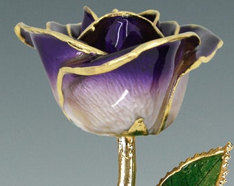 2-Tone Purple Rose - Original 24k Gold Dipped Rose - Real Rose Plated in Gold by Living Gold