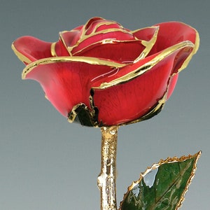 Coral Rose - Original 24k Gold Dipped Rose - Real Rose Plated in Gold by Living Gold