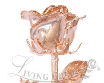 Rose-Gold Venus Rose - Real Rose Dipped in Rose Gold by Living Gold (12" Open Bud)