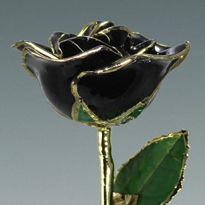 Real rose (12″) preserved in lacquer and trimmed in 24K Gold.

The Black Rose is a symbol of Strength, Mystery and Farewells, as well as of Optimism and Hope.