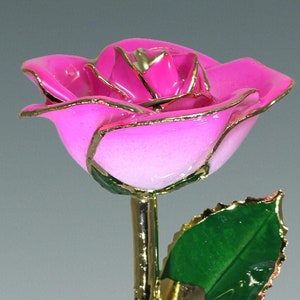 2-Tone Hot Pink Rose - Original 24k Gold Dipped Rose - Real Rose Plated in Gold by Living Gold