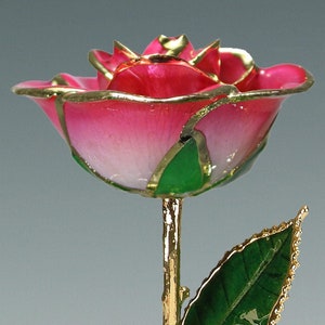 2-Tone Coral Rose - Original 24k Gold Dipped Rose - Real Rose Plated in Gold by Living Gold