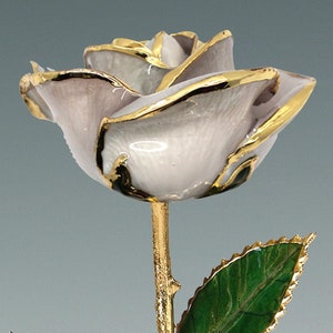 Pearl White Rose - Original 24k Gold Dipped Rose - Real Rose Plated in Gold by Living Gold