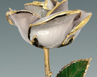 Pearl White Rose - Original 24k Gold Dipped Rose - Real Rose Plated in Gold by Living Gold