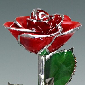 Real rose (12″) preserved in lacquer and trimmed in Platinum. As part of the Birth Color Rose collection, this Red Rose represents the month of January. The Red Rose is a symbol of Romance, Love and Passion, as well as of Beauty and Courage.