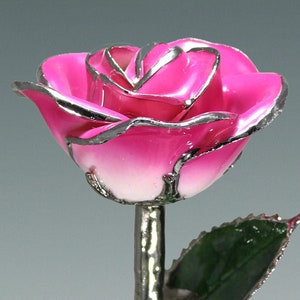 Real rose (12″) preserved in lacquer and trimmed in Platinum. As part of the Birth Color Rose collection, this 2-Tone Pink Rose represents the month of December. The Pink Rose is a symbol of First Love, Grace, Admiration and Joy.
