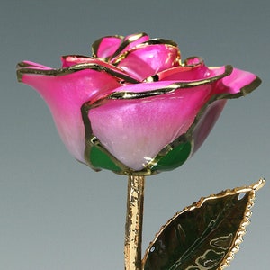 2-Tone Pink Rose - Original 24k Gold Dipped Rose - Real Rose Plated in Gold by Living Gold