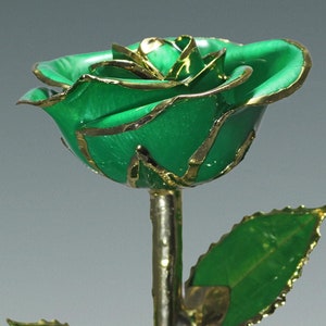 Light Green - Original 24k Gold Dipped Rose - Real Rose Plated in Gold by Living Gold