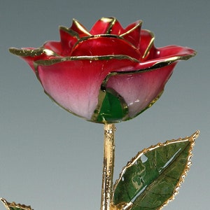 2-Tone Red Rose - Original 24k Gold Dipped Rose - Real Rose Plated in Gold by Living Gold