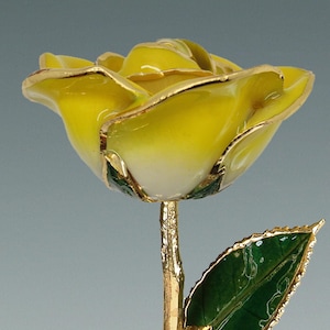 2-Tone Yellow Rose - Original 24k Gold Dipped Rose - Real Rose Plated in Gold by Living Gold