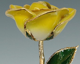 2-Tone Yellow Rose - Original 24k Gold Dipped Rose - Real Rose Plated in Gold by Living Gold