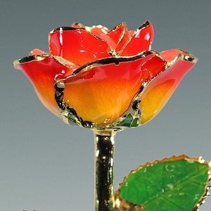 Sunset Rose - Original 24k Gold Dipped Rose - Real Rose Plated in Gold by Living Gold