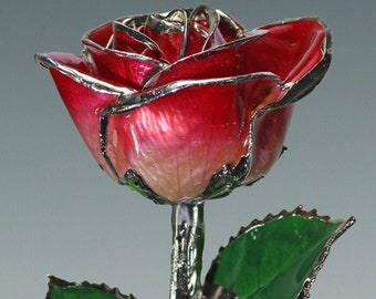 2-Tone Red Rose - Original Platinum Dipped Rose - Real Rose Plated in Platinum by Living Gold