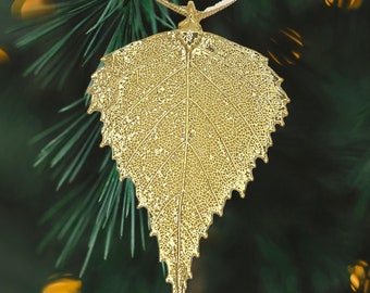 May include: A gold leaf ornament shaped like a birch leaf, hanging from a ribbon on a green pine tree branch.