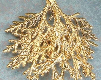 Real Cypress Leaf Dipped in 24k Gold - Christmas Ornament