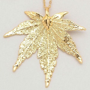 Real Japanese Maple Leaf Pendant / Necklace Dipped in 24k Gold