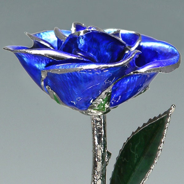 Dark Blue Platinum Rose by Living Gold - Real Rose Dipped & Plated in Platinum