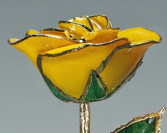 Yellow Rose by Living Gold - Original 24k Gold Dipped Rose - Real Rose Plated in Gold