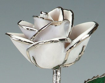 Snow White Platinum Rose by Living Gold - Real Rose Dipped & Plated in Platinum