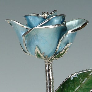 Light Blue Platinum Rose by Living Gold - Real Rose Dipped & Plated in Platinum