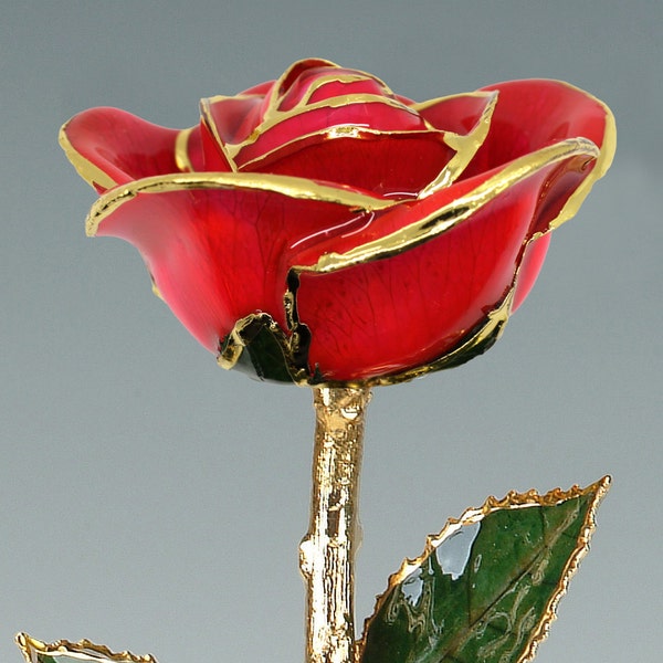 Coral Rose by Living Gold - Original 24k Gold Dipped Rose - Real Rose Plated in Gold