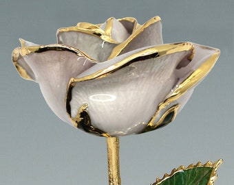 Pearl White Rose by Living Gold - Original 24k Gold Dipped Rose - Real Rose Plated in Gold