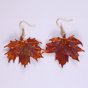 Echte Sugar Maple Leaf Ohrringe, getaucht in irisierendes Kupfer
