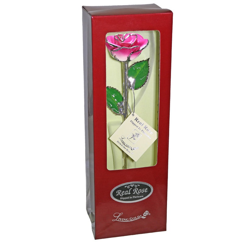 May include: A single pink rose dipped in platinum, presented in a red box with a silver label that reads "Real Rose Dipped in Platinum". The label also includes the text "Living Gold&reg; Real Rose Dipped in Platinum".