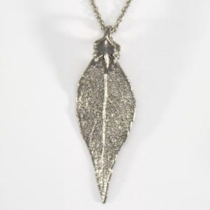 Real Evergreen Leaf Pendant / Necklace Dipped in Platinum