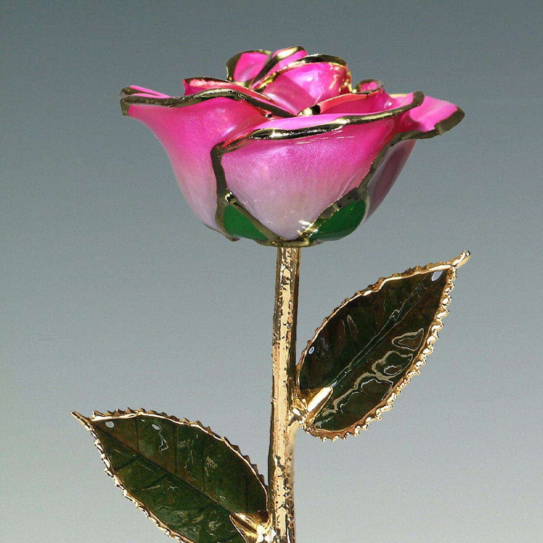 2-tone Pink Rose - Original 24k Gold Dipped Rose - Real Rose