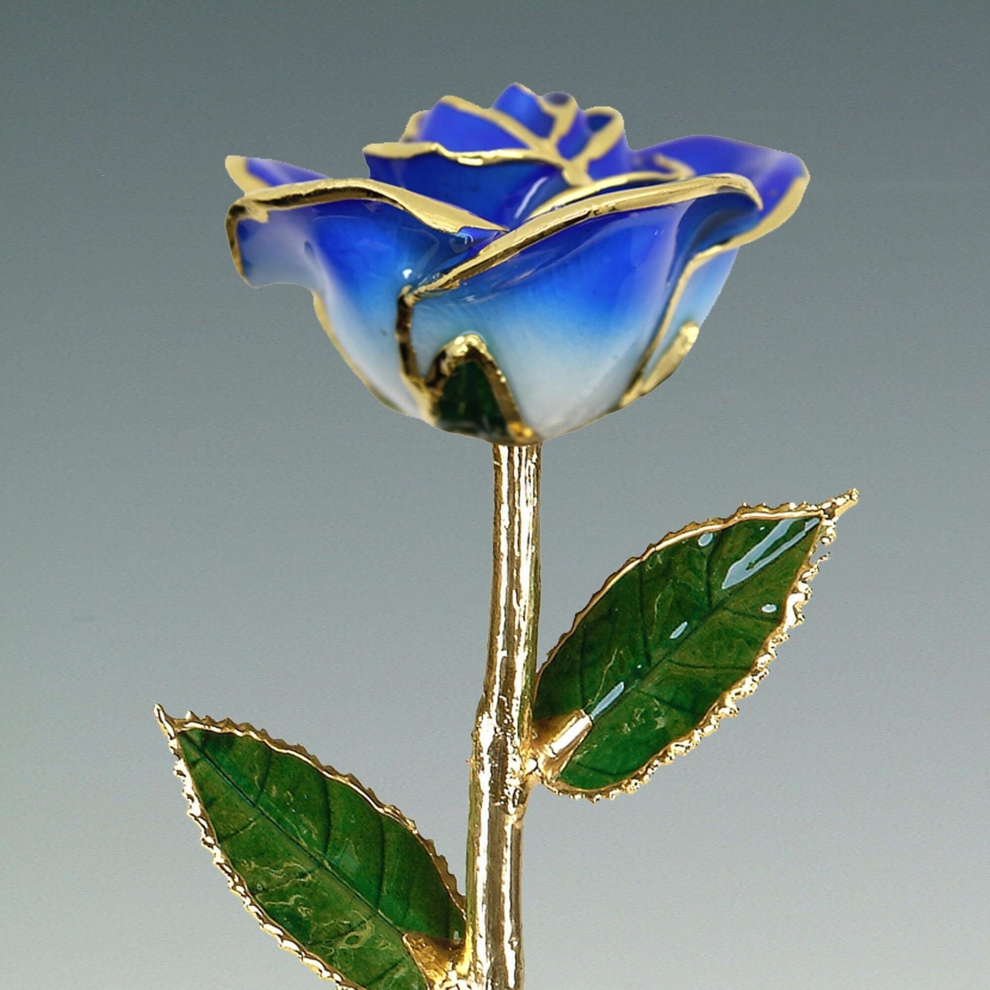 2-tone Dark Blue Rose - Original 24k Gold Dipped Rose - Real Rose