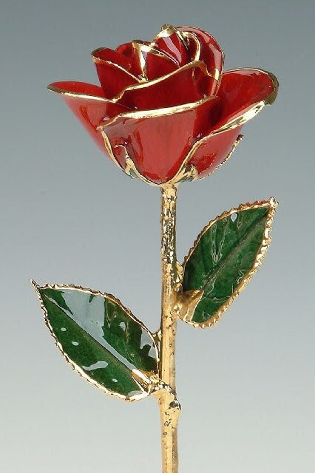 Red Rose by Living Gold Original 24k Gold Dipped Rose Real Rose Plated