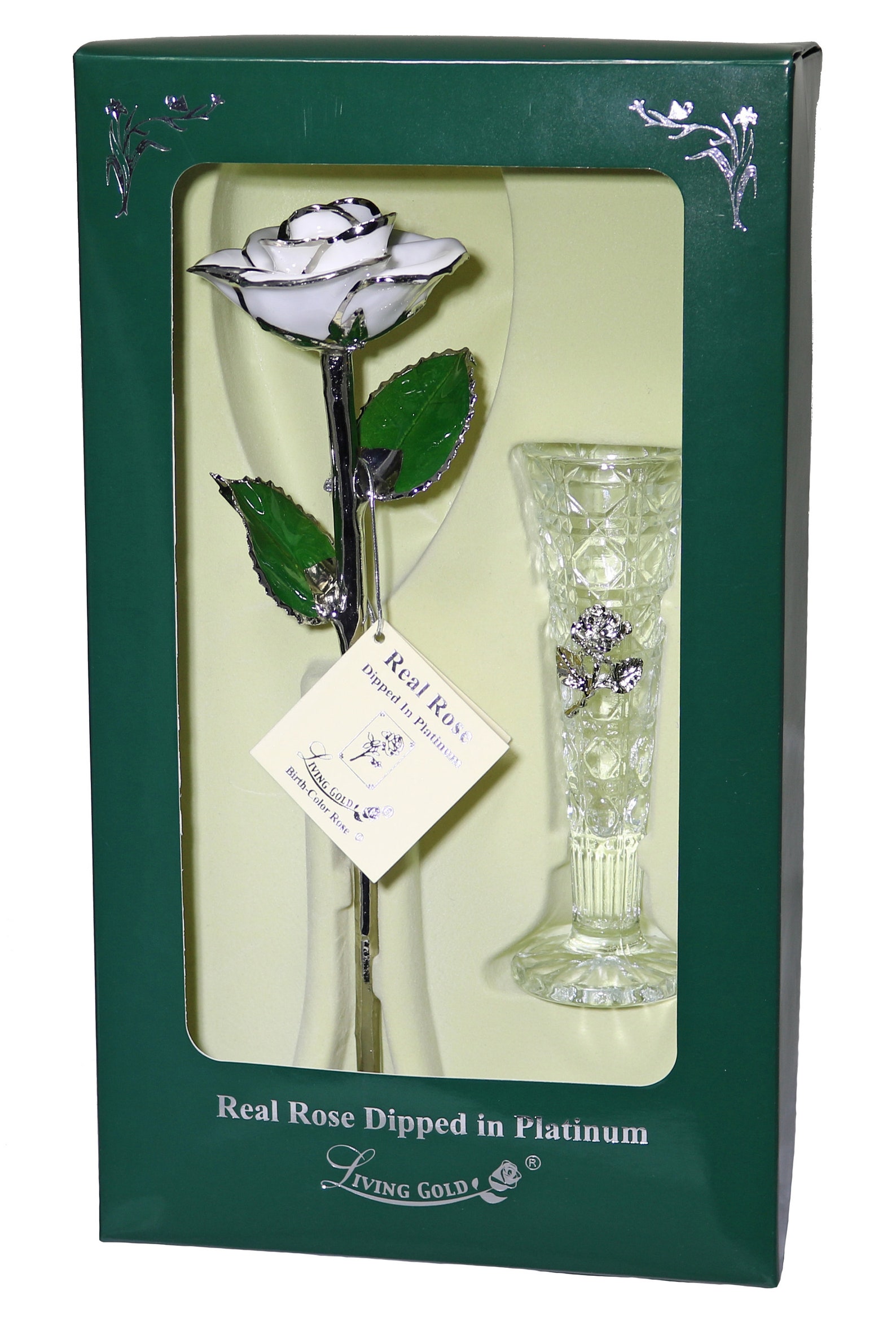 Snow White Platinum Rose by Living Gold Real Rose Dipped in - Etsy Israel