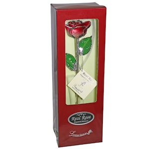 2-Tone Red Rose - Original Platinum Dipped Rose - Real Rose Plated in Platinum by Living Gold Rose Only (Red Box)