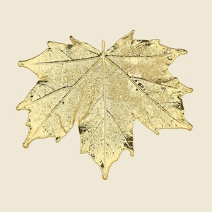 Può includere: Un oggetto decorativo in metallo color oro a forma di foglia d'acero. La superficie presenta una trama realistica e molto dettagliata che imita le venature naturali e i motivi complessi di una foglia vera, con una finitura lucida e riflettente.