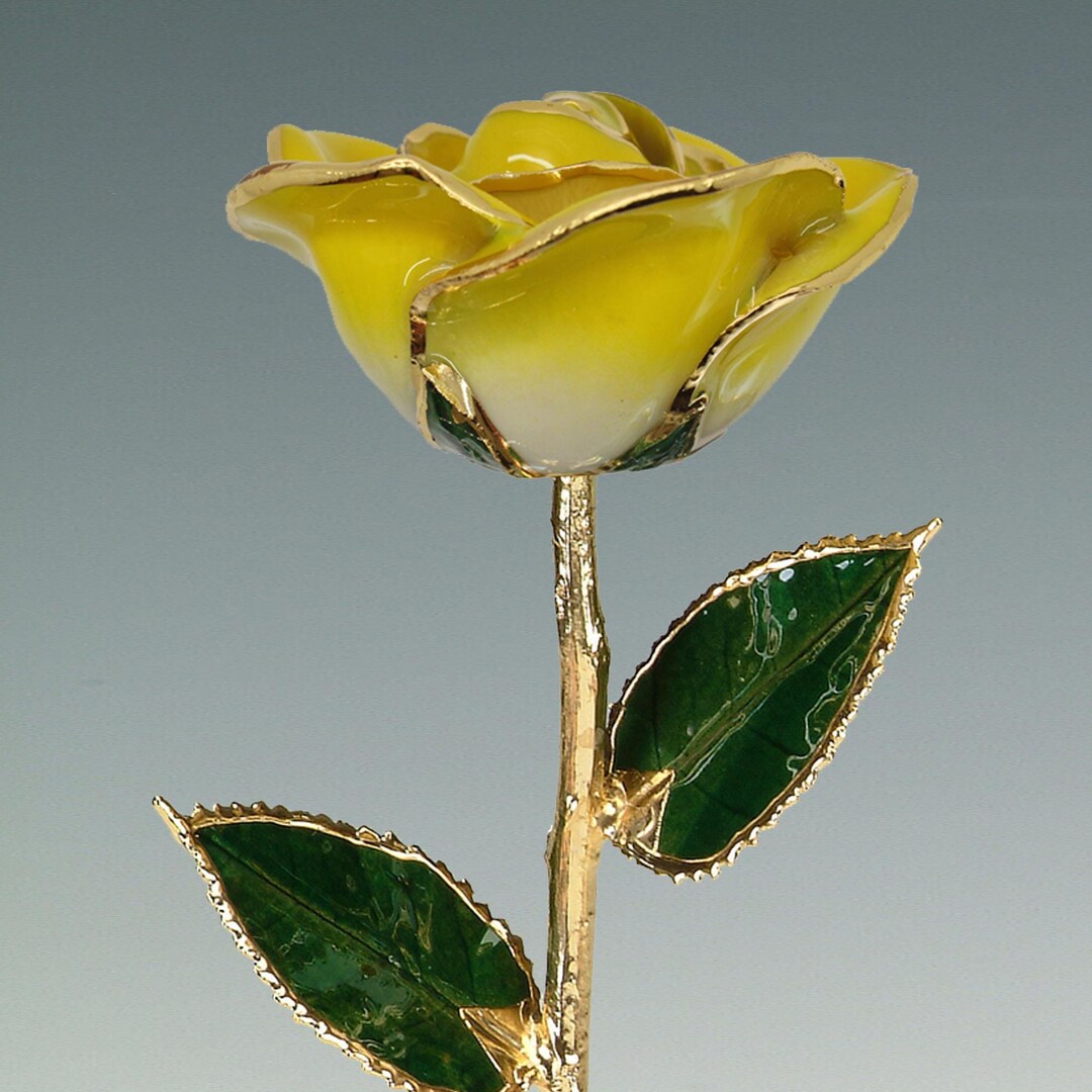 2-tone Yellow Rose - Original 24k Gold Dipped Rose - Real Rose Plated ...