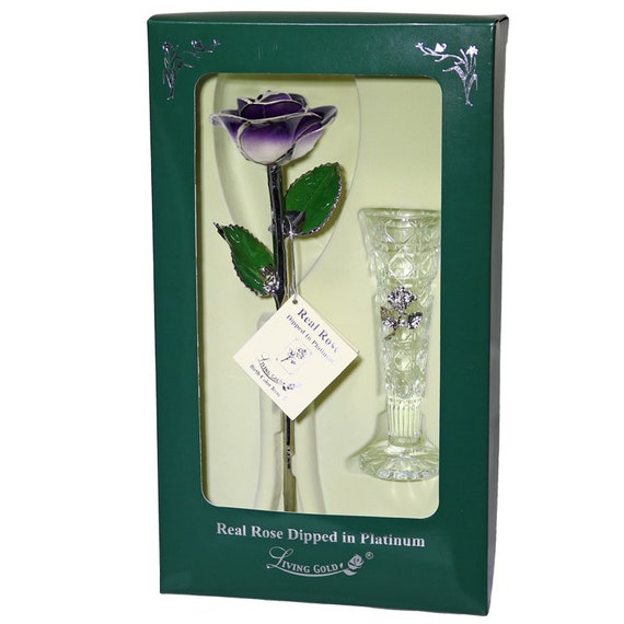 Lacquer Dipped Silver Trimmed Purple Natural Rose Lacquer Dipped Silver Trimmed Purple Natural Rose