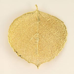 May include: A gold-toned leaf pendant featuring a delicate, intricate skeletonized vein structure. The surface displays a fine, open-work mesh pattern that mimics the natural organic form of a real leaf, complete with a central stem and pointed tip.