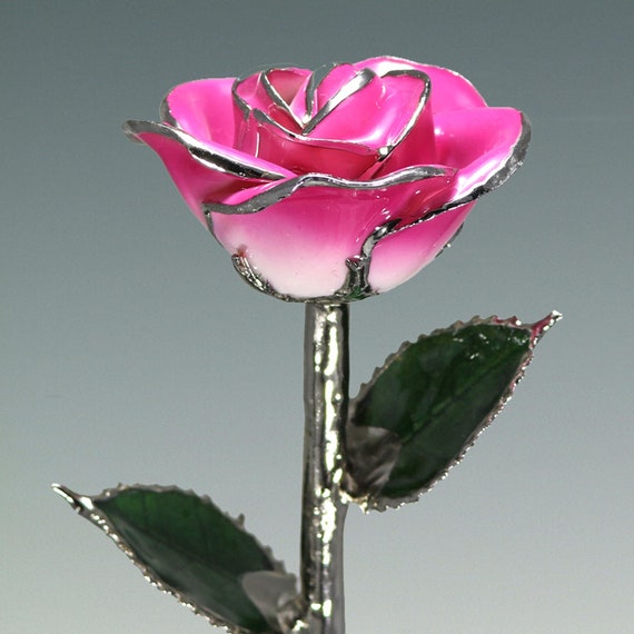 2-Tone Pink Rose - Original Platinum Dipped Rose - Real Rose Plated in Platinum by Living Gold
