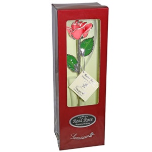 May include: A single, real rose dipped in platinum, preserved in a red box with a white label that reads "Real Rose Dipped in Platinum" and "Living Gold".