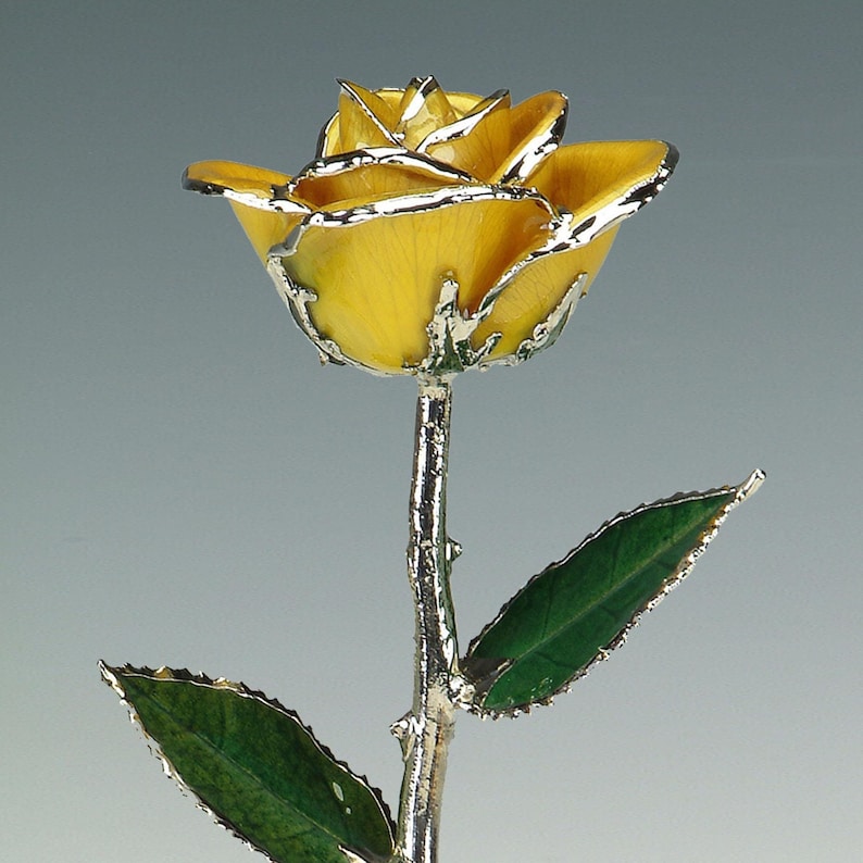 Real rose (12″) preserved in lacquer and trimmed in Platinum. As part of the Birth Color Rose collection, this Yellow Rose represents the month of November. The Yellow Rose is a symbol of Friendship & Affection.