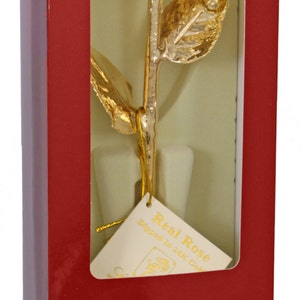 Gold Venus Rose by Living Gold - Real Rose Dipped in Gold (12